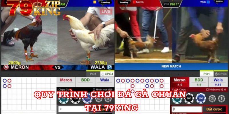 Quy trình chơi game chuẩn xác cho kê thủ mới tham gia  